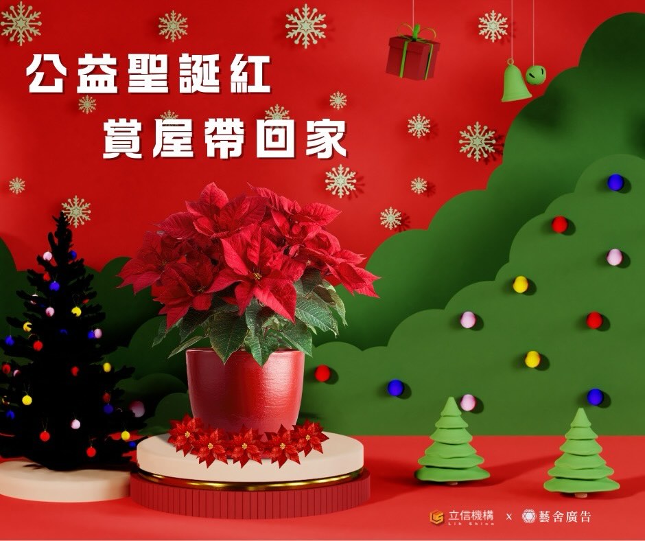 🎄✨ 《公益聖誕紅｜賞屋帶回家》活動開跑！ ✨🎄